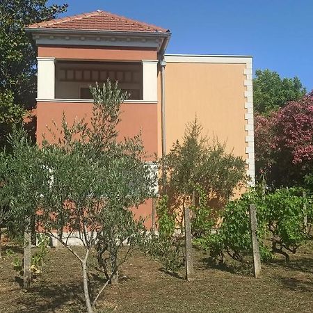 Apartments Rolovina Tivat Kültér fotó
