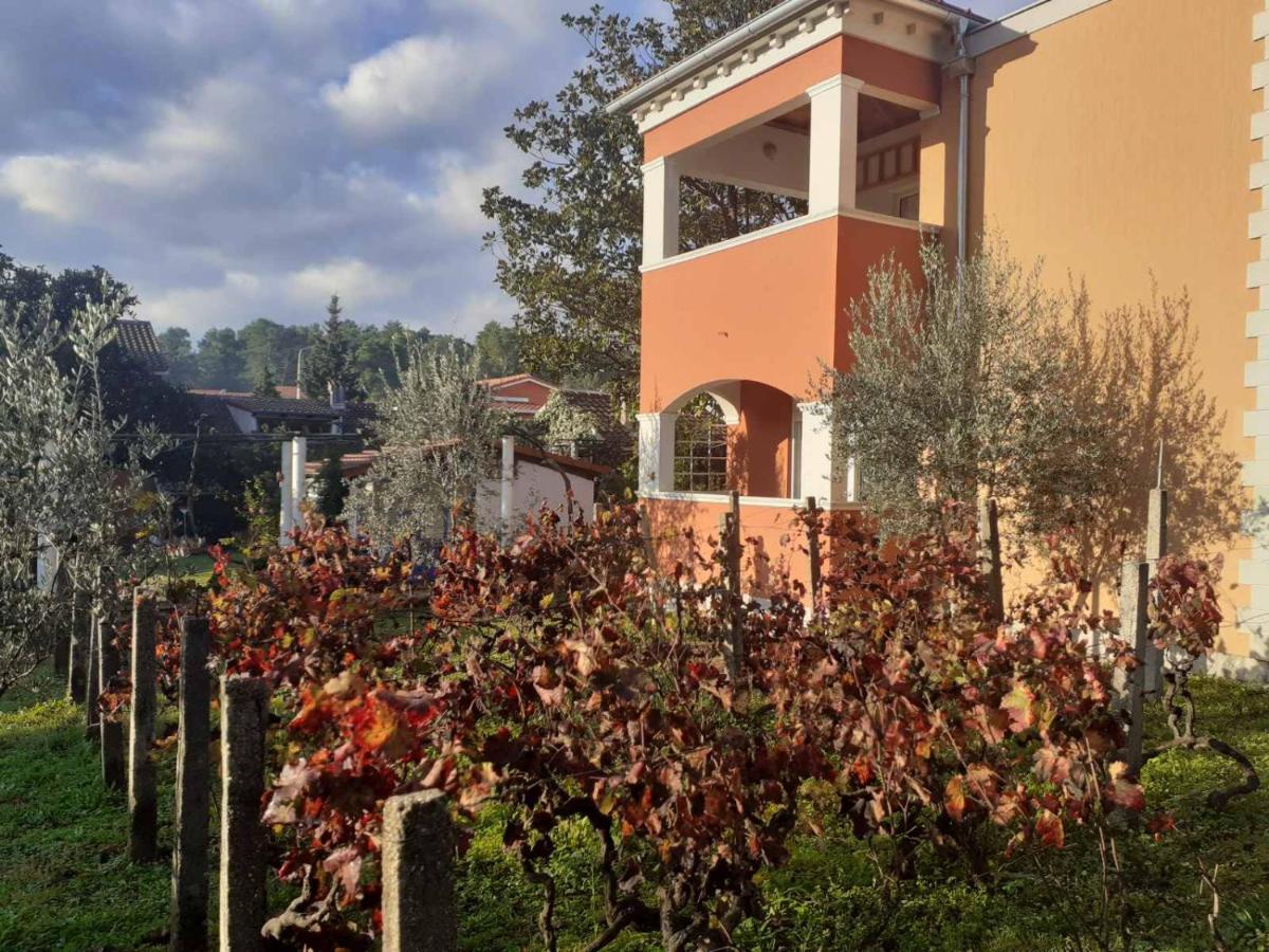 Apartments Rolovina Tivat Kültér fotó