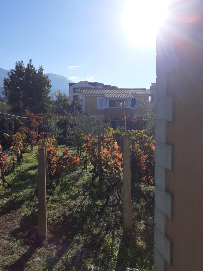 Apartments Rolovina Tivat Kültér fotó