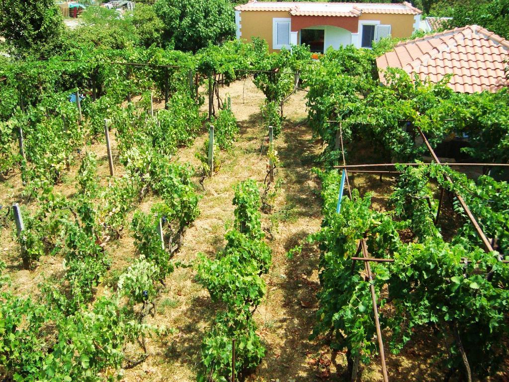 Apartments Rolovina Tivat Szoba fotó