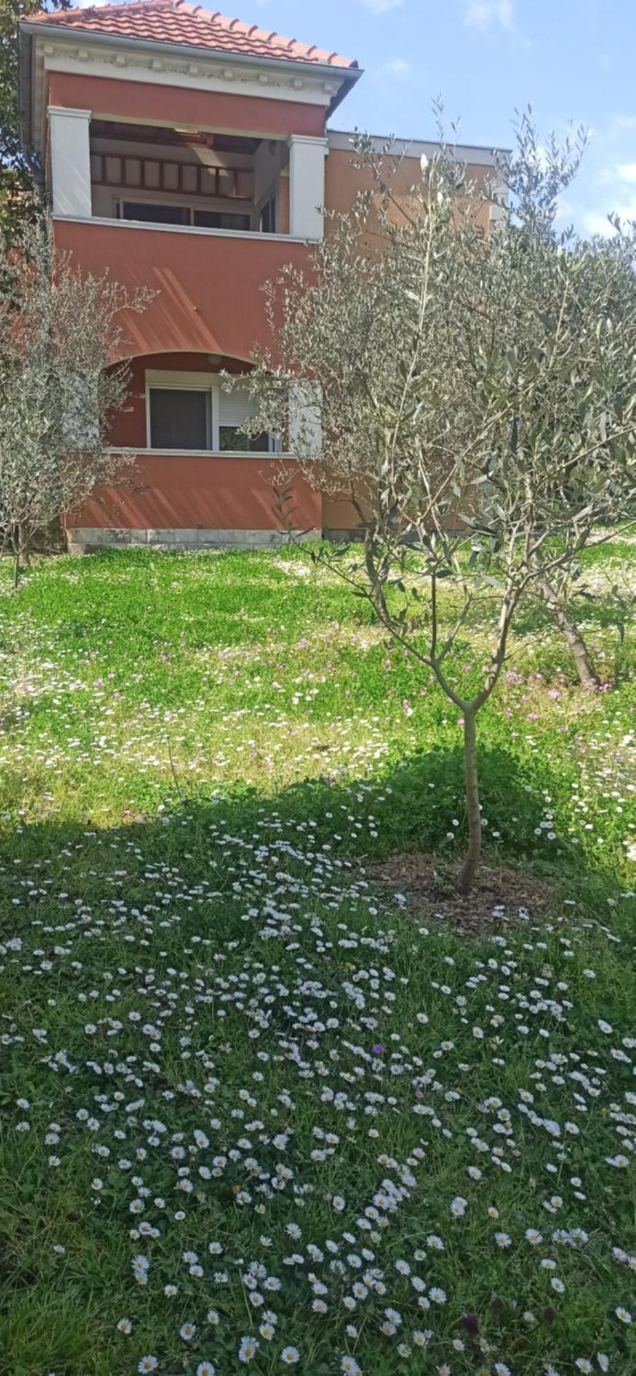 Apartments Rolovina Tivat Szoba fotó